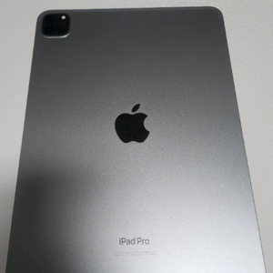 아이패드프로 11 M4 256GB (WiFI + 셀룰러) + 애플펜슬프로