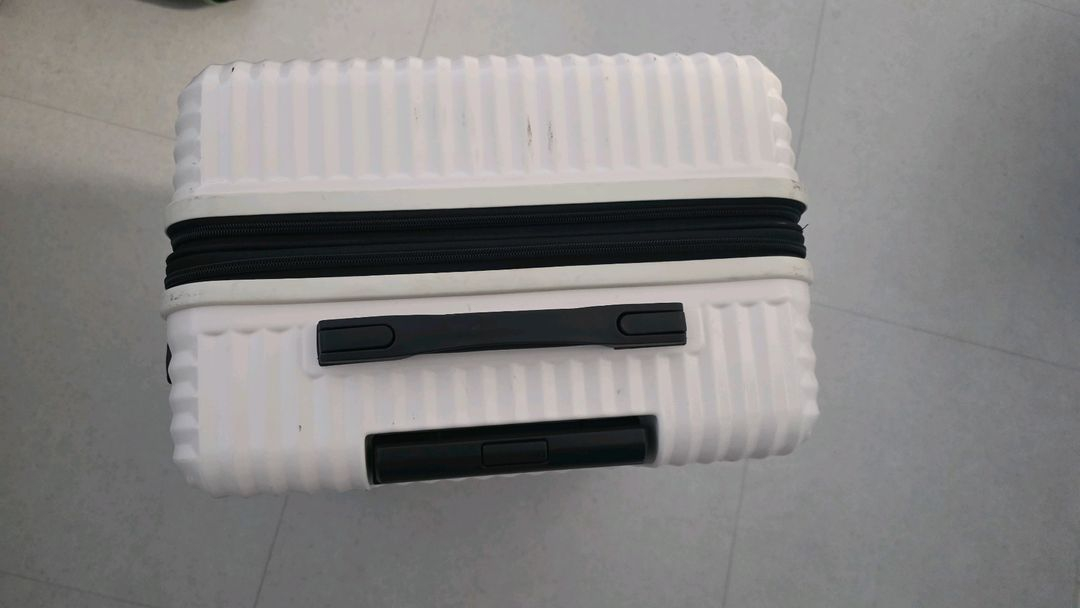 타임리스 캐리어 24인치 메탈릭캐리어 밀크--1