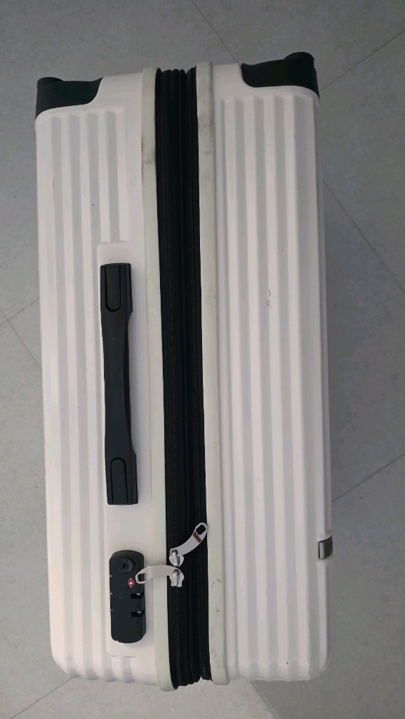 타임리스 캐리어 24인치 메탈릭캐리어 밀크--2