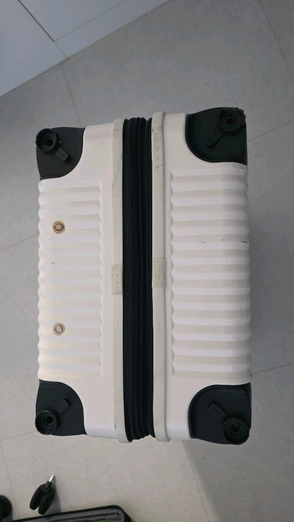 타임리스 캐리어 24인치 메탈릭캐리어 밀크--3