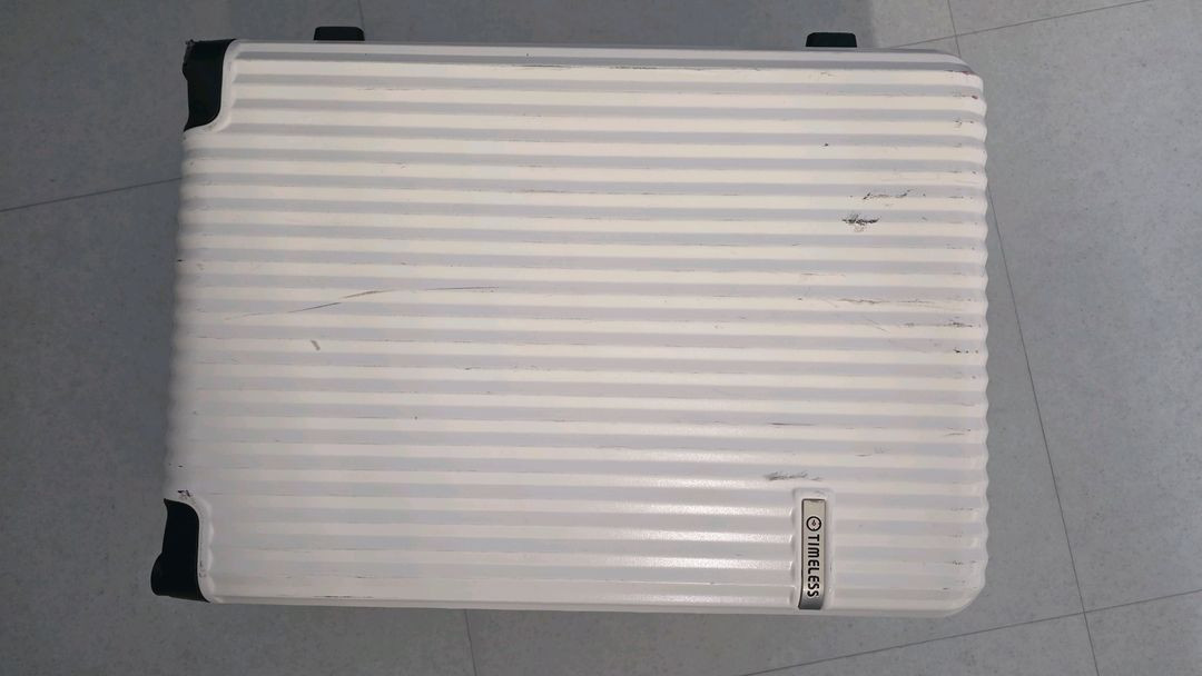 타임리스 캐리어 24인치 메탈릭캐리어 밀크--5