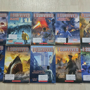 영어챕터북 3-4점대 판매 I survived/Flat STANLEYS WORLDWIDE ADVENTURE