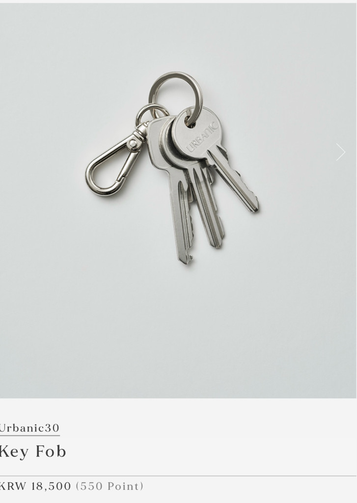 얼바닉30 Carpenter Pants 팬츠 키링--2