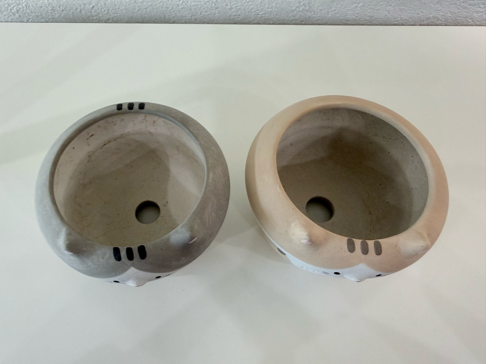 어뮤즈팟 S사이즈 묘식 일괄--1