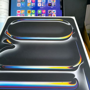 아이패드프로m4 13 + 애케플+펜슬 (제조 25.06, 싸이클 19)