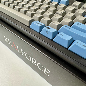 리얼포스 Realforce R3TL BT 그레이 블루 저소음 APC 45g 균등 한글 (텐키레스) R3HDK1