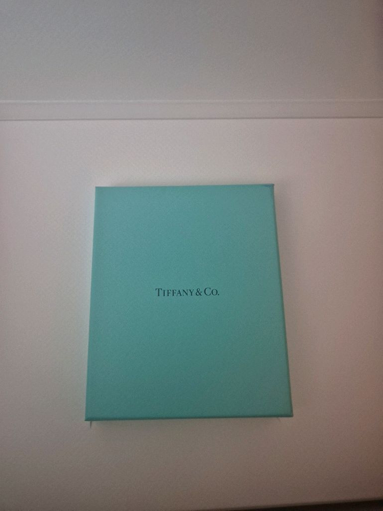 (명품 정품 새상품) 티파니앤코 18k 미착용 새상품 판매합니다 가격협의가능--3