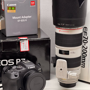 캐논 EOS R7 + EF 70-200mm F2.8 is ii (새아빠백통)