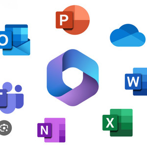 정품 맥용 오피스 판매합니다 office for mac