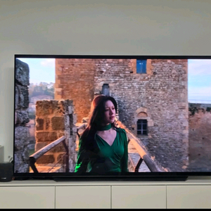 LG OLED83C3KNA 83인치 OLED TV