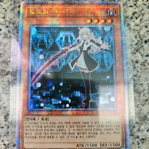 유희왕 카드 섬도희 - 레이 쿼싴 이미지