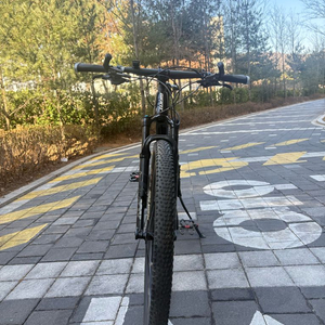 XTC 어드밴스 1 29인치 2022