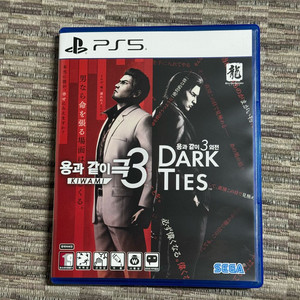 PS5 용과같이 극3 외전