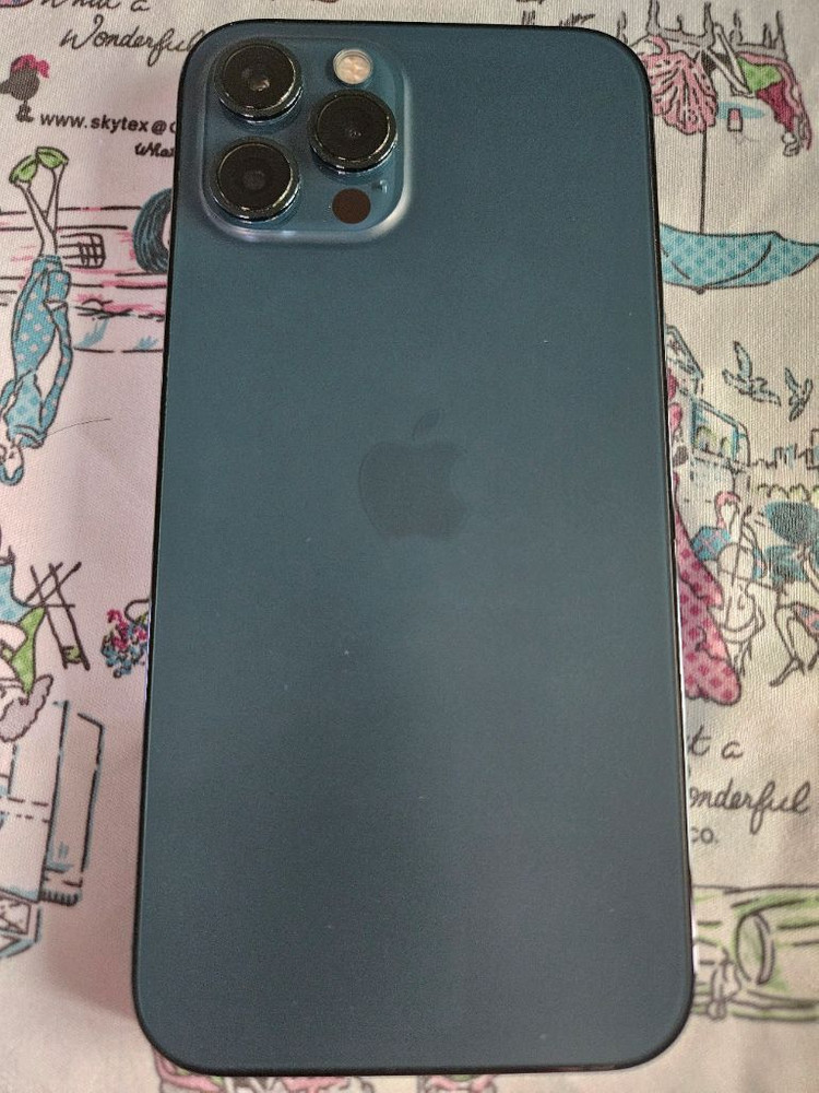 아이폰12 프로맥스 512g 퍼시픽 블루--11