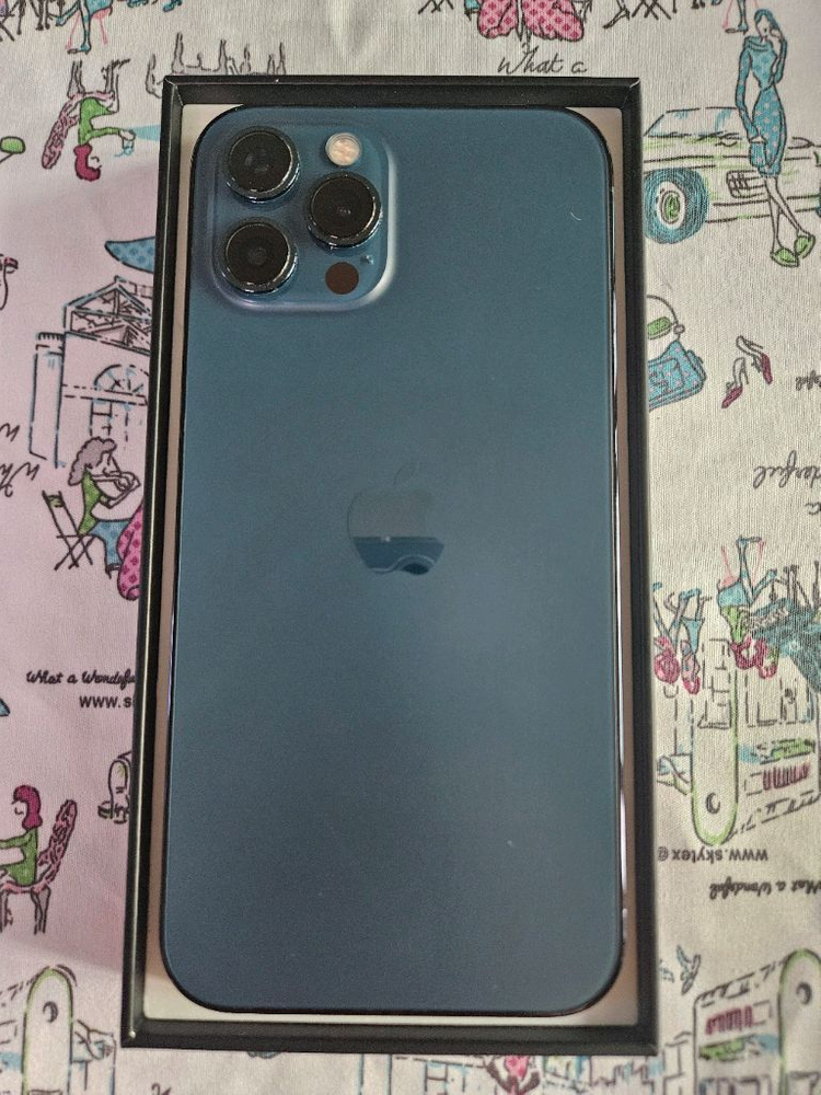 아이폰12 프로맥스 512g 퍼시픽 블루--12