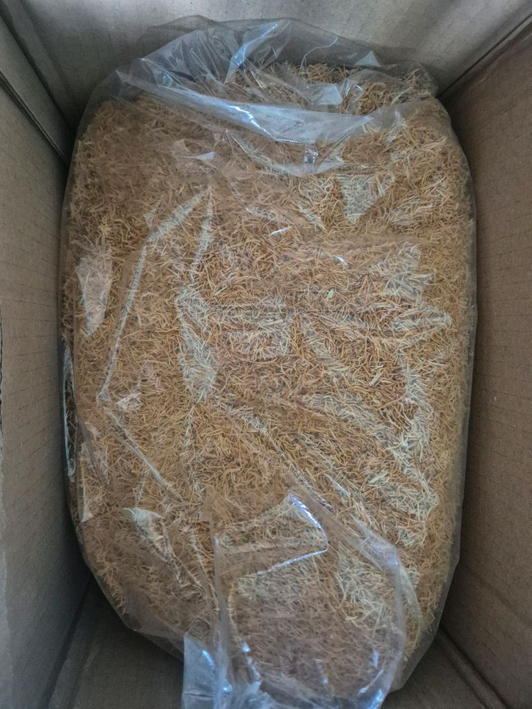 피스타치오 카다이프 판매합니다--3