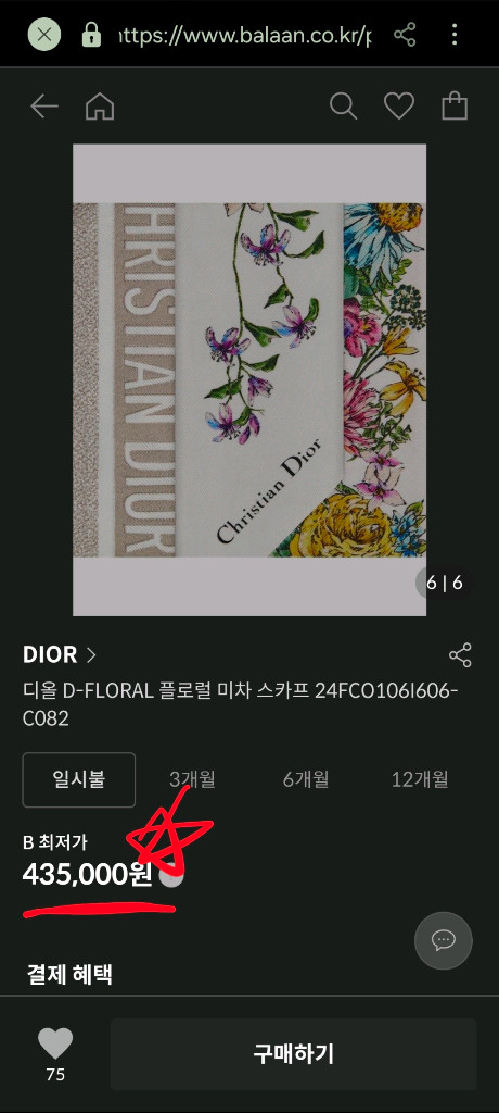 디올 미차스카프 - 플로럴, 베이지 이미지