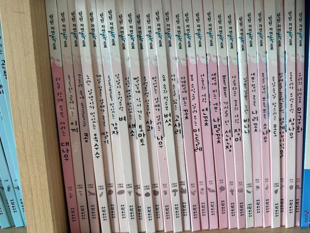 여원미디어 탄탄자연속으로 자연관찰 전집 100권 이미지