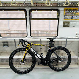 25년식 써벨로 s5 팀카 51사이즈 이미지