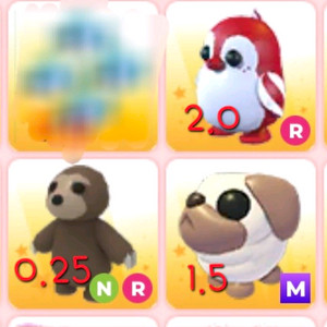 입양하세요 펫들 팝니다 이미지