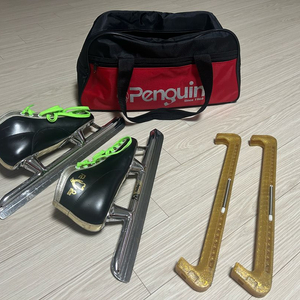 펭귄 스케이트 220