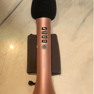 Lewinner 블루투스 무선 휴대용 스피커 마이크 15W 이미지