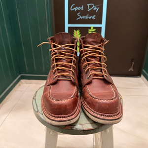 레드윙 1907 8.5 265mm