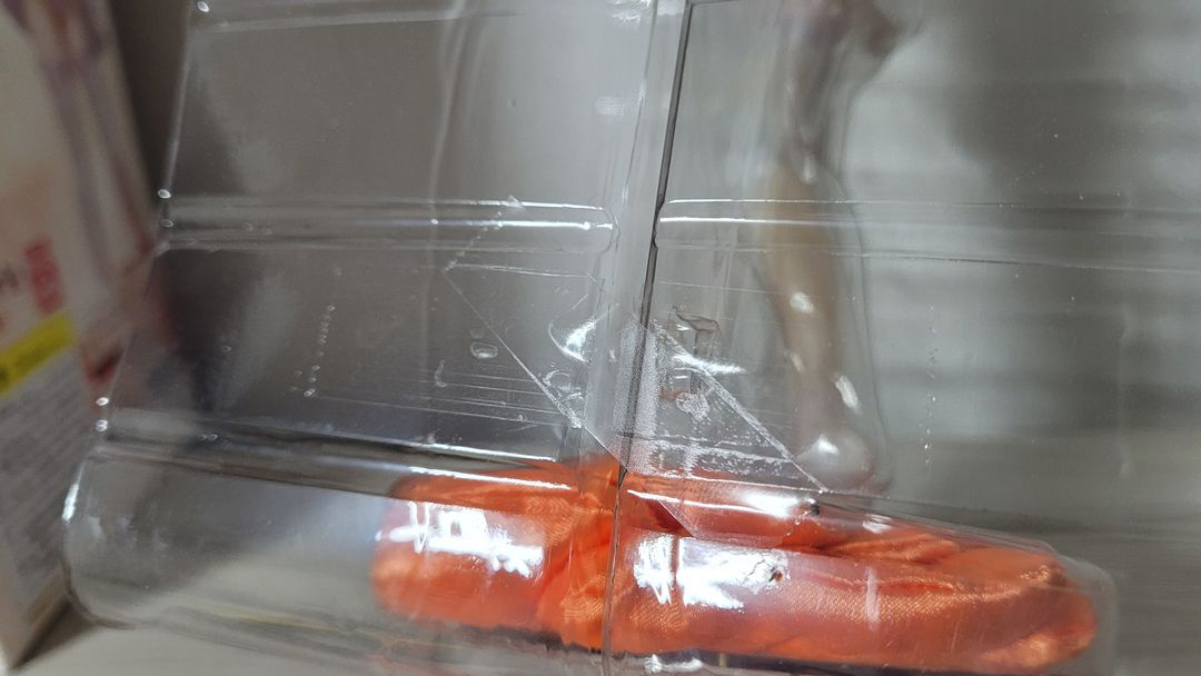 IS 인피니트 스트라토스 샤를로트 듀노아--2