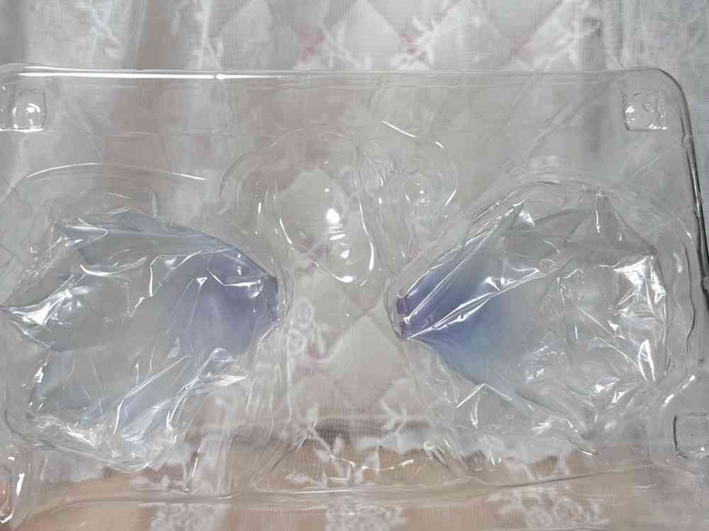 코토부키야 하늘의 유실물 님프 엔젤로이드 피규어 고전 미소녀--8