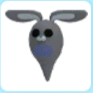 입양하세요 유령 토끼 판매합니다~