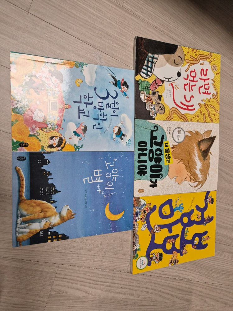 책읽는곰 큰곰자리--2