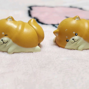 휴식 중인 강아지 가챠 시바 시바견 가챠 캡슐 이미지