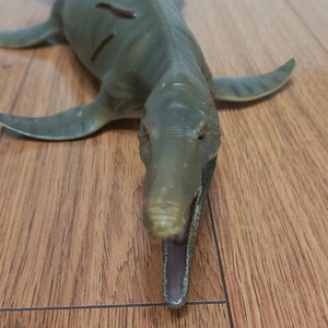 플리오사우루스. 피규어