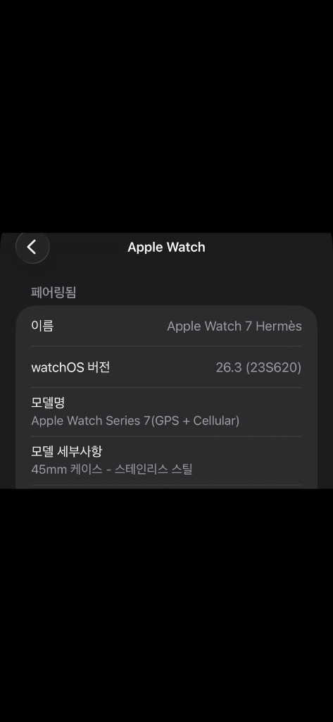 애플워치7 에르메스 45mm 실버 스테인리스 셀룰러 (에르메스 정품 가죽줄 포함)--6