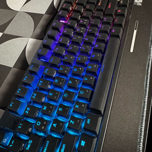 콕스 엔데버 무접점키보드 풀윤활 50g