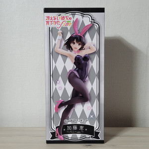 Coreful 시원찮은 그녀 카토 메구미 바니