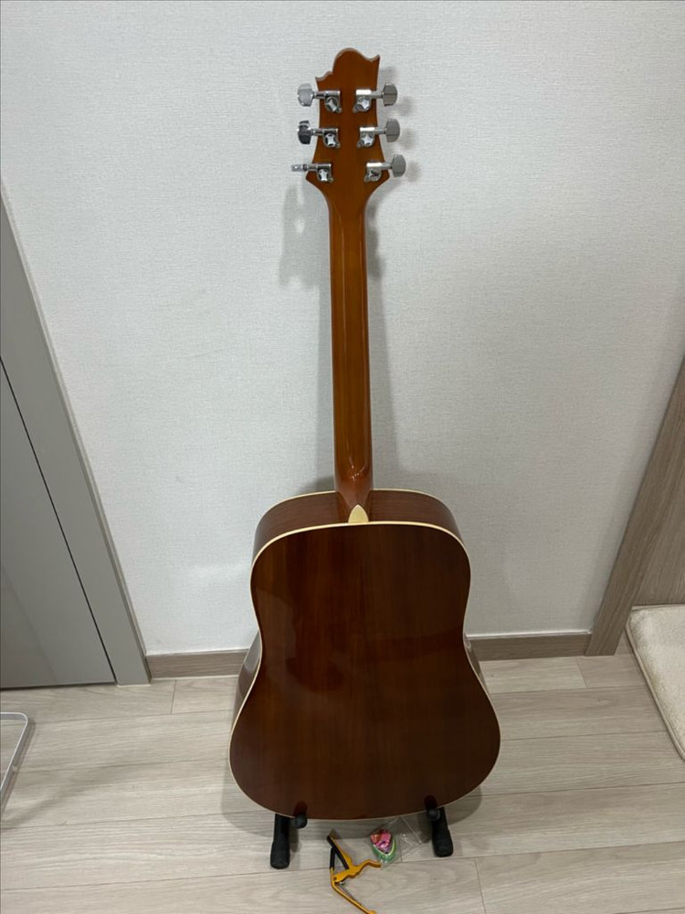 통기타 그렉베넷 SD-100PK/N--1