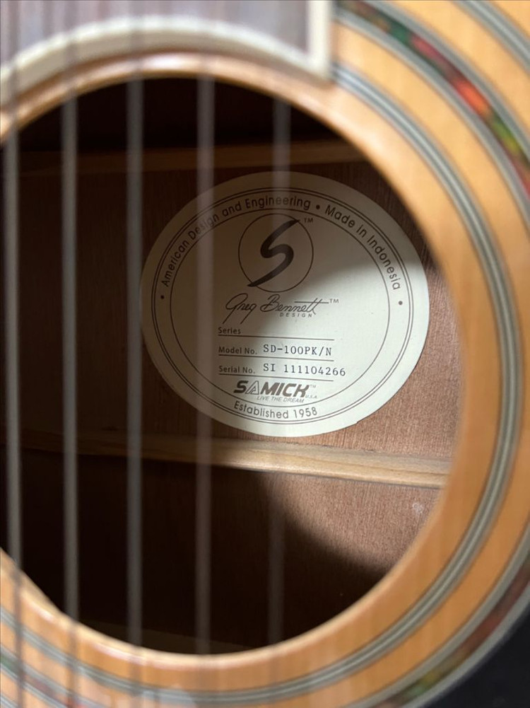 통기타 그렉베넷 SD-100PK/N--4