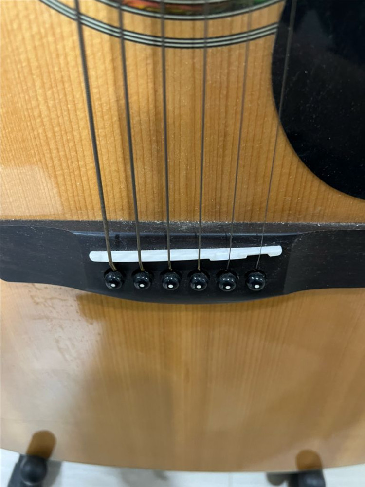 통기타 그렉베넷 SD-100PK/N--5