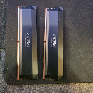 Crucial DDR5 Pro 램 64g