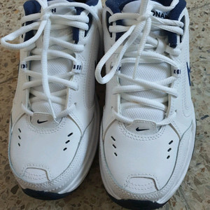 나이키 에어모나크 240