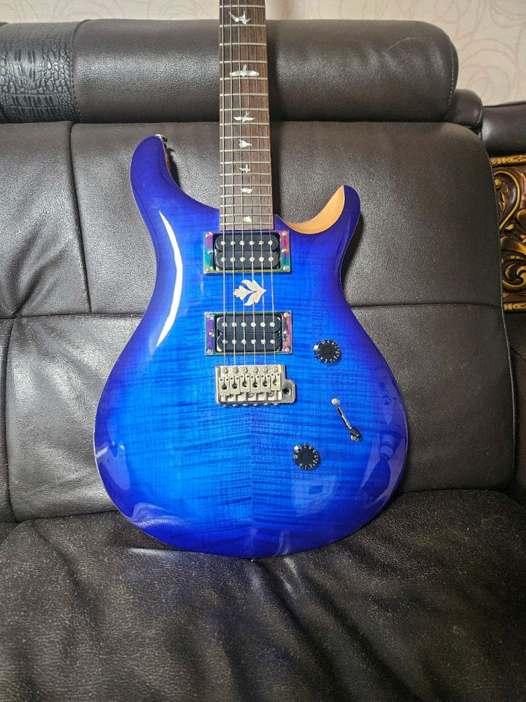 prs se 커스텀 24--1