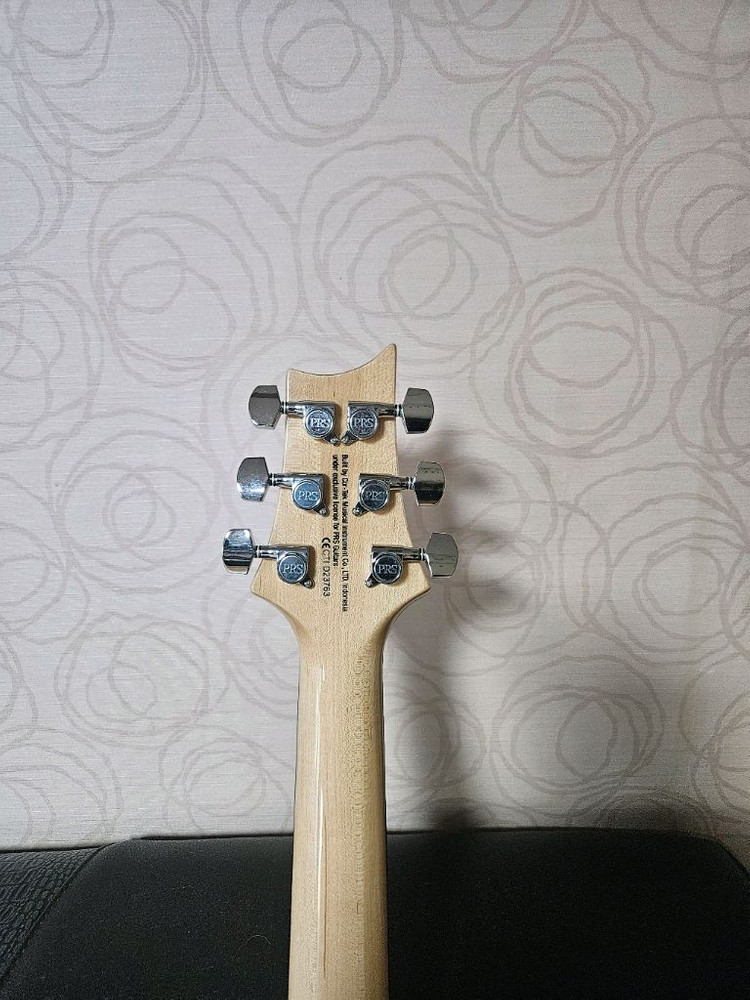 prs se 커스텀 24--5