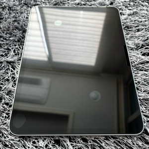 아이패드 프로 M5 11 실버 256GB wi-fi 신동품