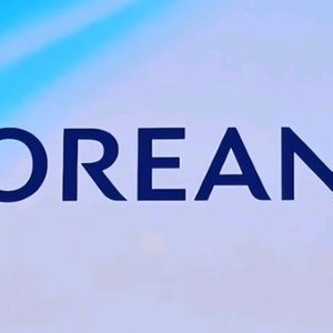 대한항공 일본 항공권 발권해드립니다(도쿄/오키나와 등) 이미지