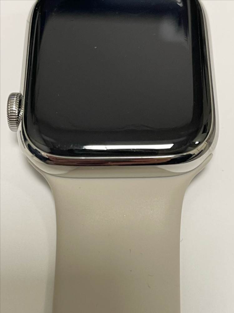 애플워치8 45mm 셀룰러+GPS 실버 스테인리스 스틸--4