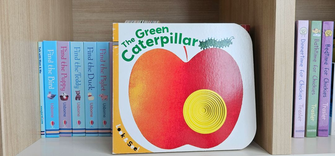 유아 영어 그림책 보드북 세트 (어스본, 룩앤씨, 하퍼 등)--2