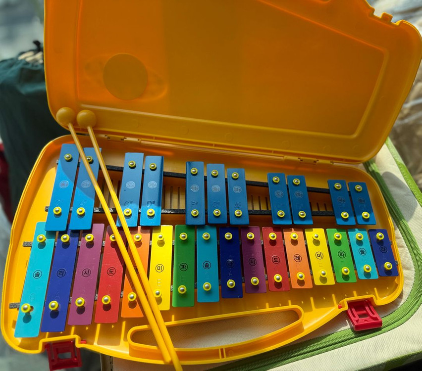 실로폰,소고,리코더--1