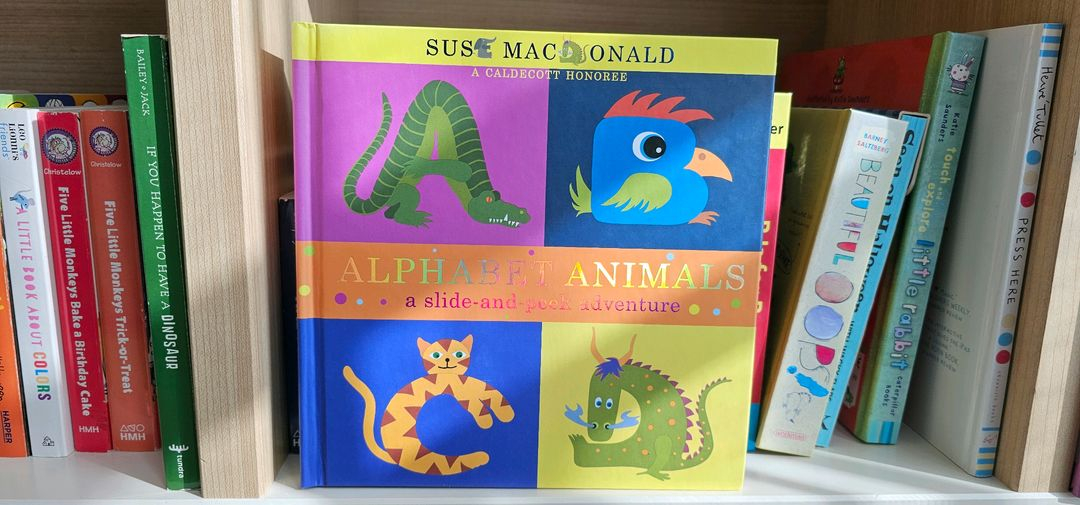 유아 영어 그림책 보드북 39권--6