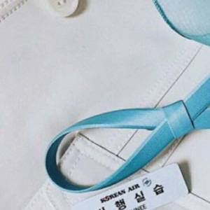 대한항공 승무원 명찰 구해요 이미지